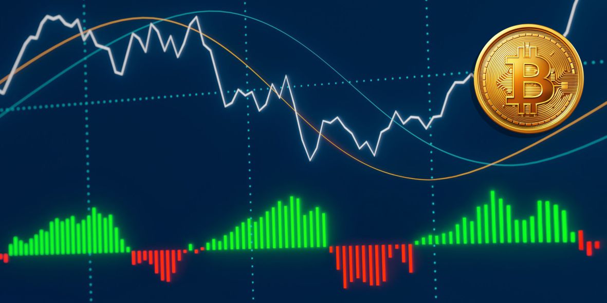 US Bitcoins Volatility 5