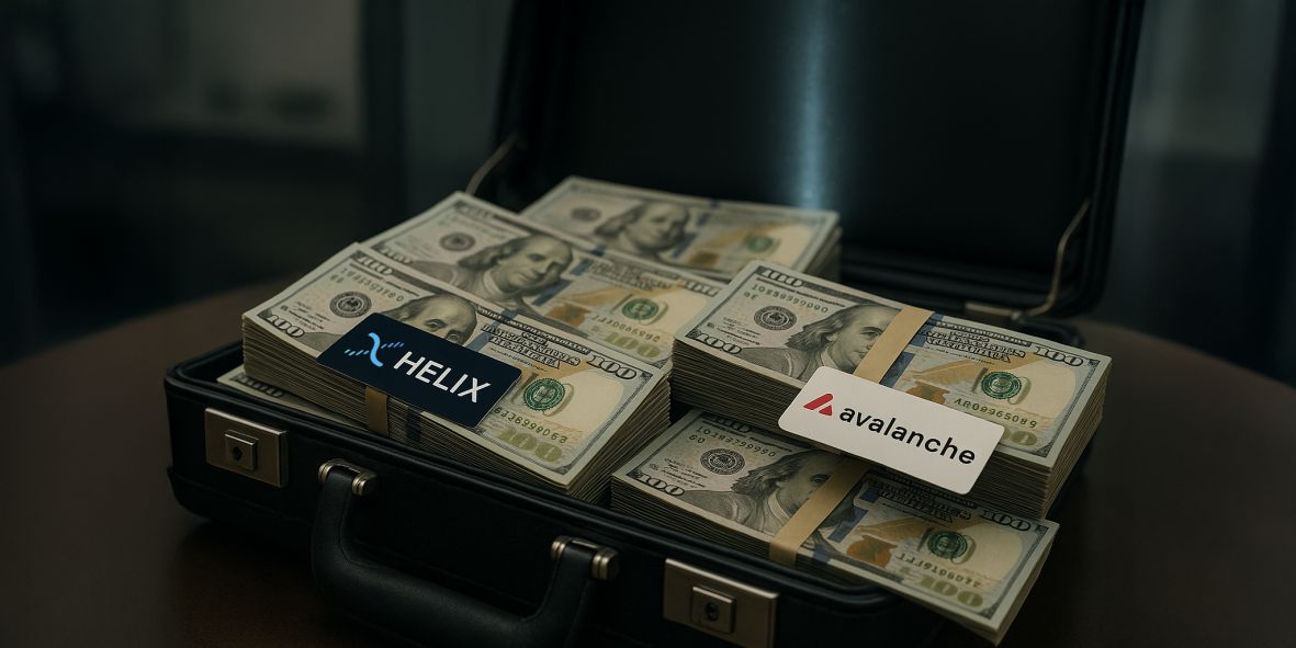 The modular ecosystem targets AI, healthcare, and infrastructure with customizable Layer 1 networks and plug-and-play services.