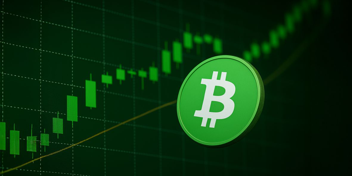 BCH Price Analysis