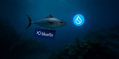 Sui's top DEX introduces a multi-DEX routing solution to optimize trading rates and access deeper liquidity pools