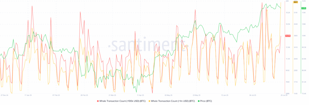 BTC Whale Transactions 27072025