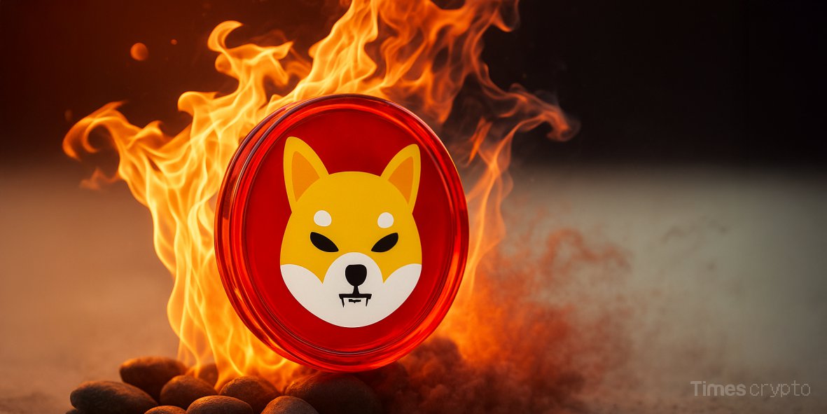 SHIB Burns