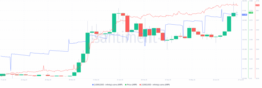 XRP Whales 27072025