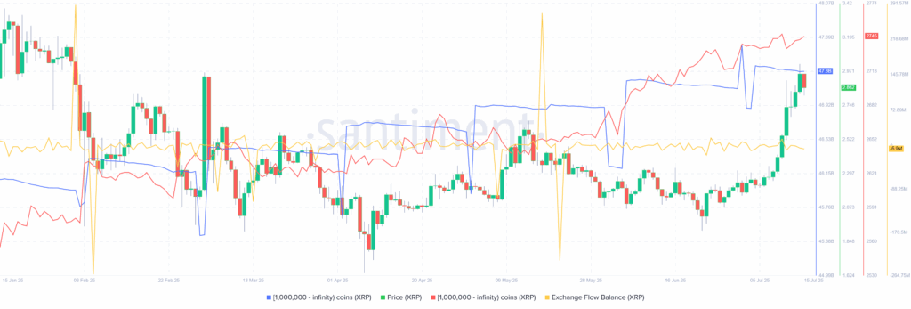 XRP on chain data 15072025