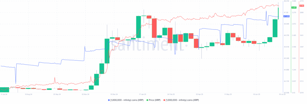 XRP whales 18072025
