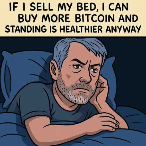 Michael Saylor Meme