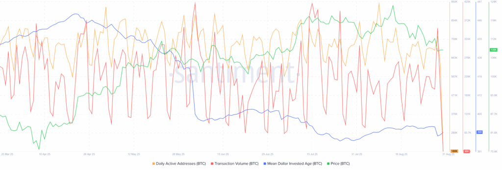 BTC MDIA daily active address 31082025