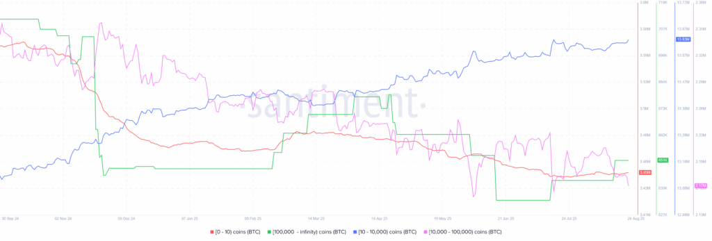 BTC Whales 24082025