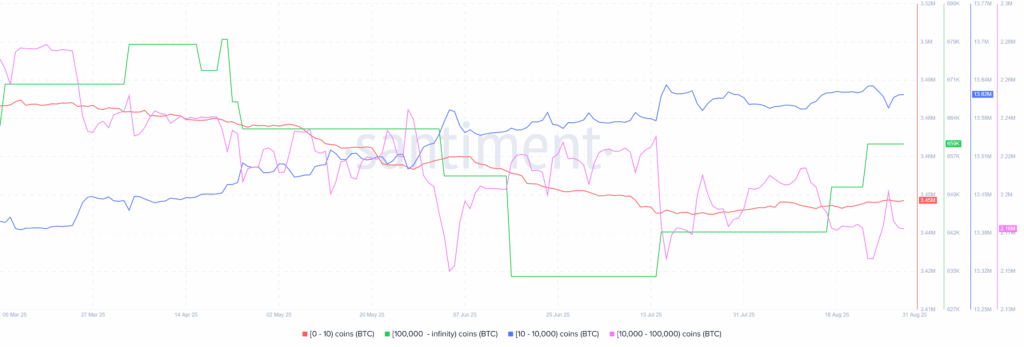 BTC Whales 31082025
