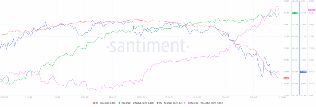 ETH Whales 24082025