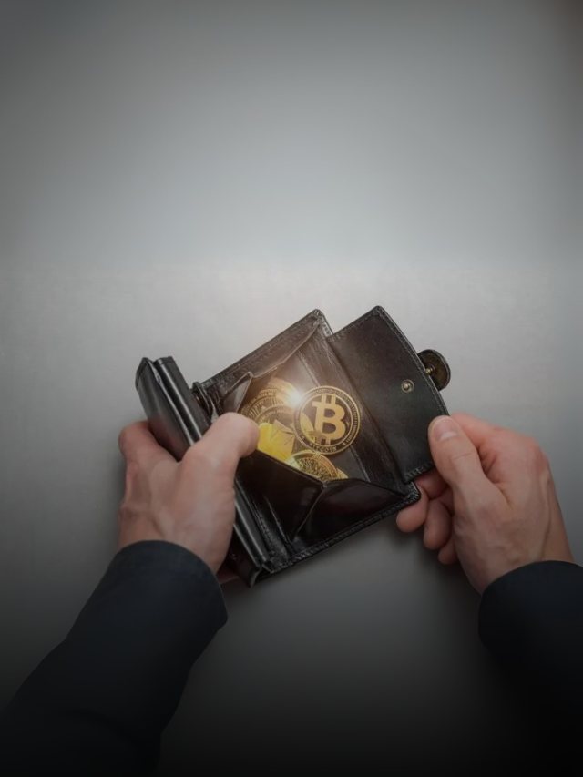 Top 5 Hot Crypto Wallets for 2025