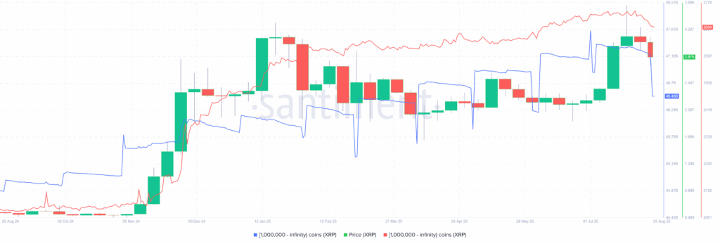 XRP Whales 03082025