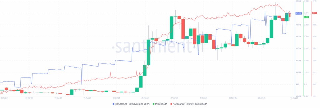 XRP Whales 17082025