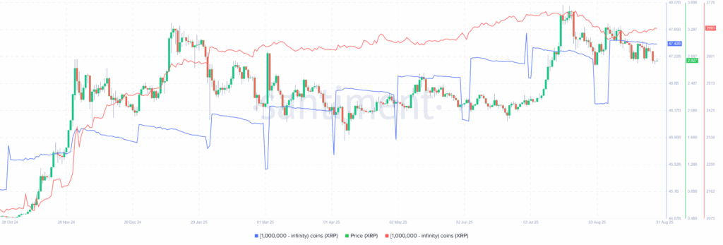 XRP Whales 31082025