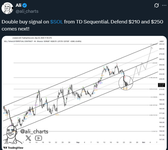 Solana (SOL) Poised for 20% Rally – Here’s Why 3 image 311