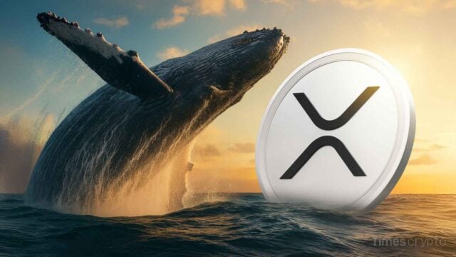 XRP Whale