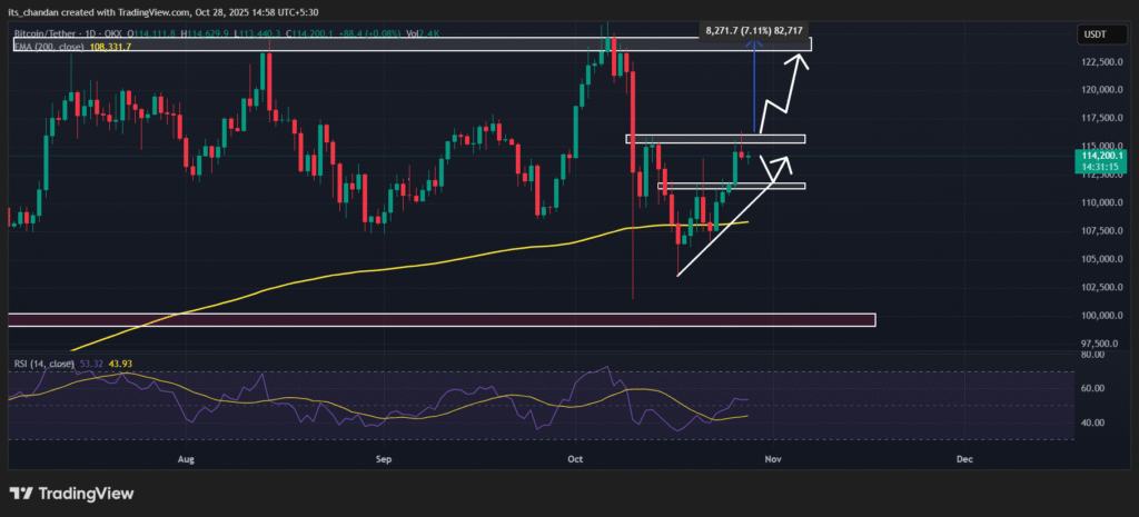 Bitcoin Trades Near $114K as Institutions Scoop $206M in BTC 3 Bitcoin daily chart