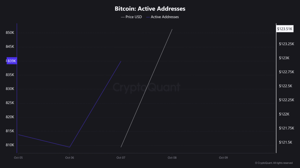 Bitcoin whales Active Addresses