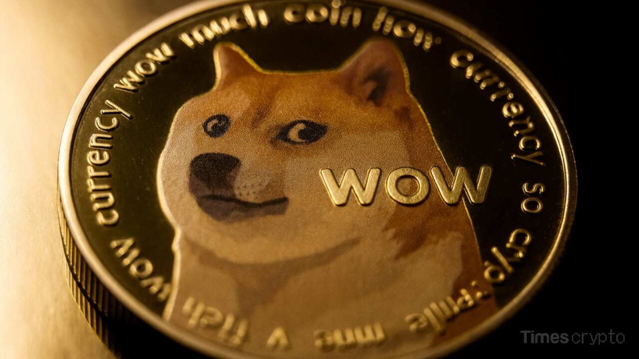 DOGE TA 09