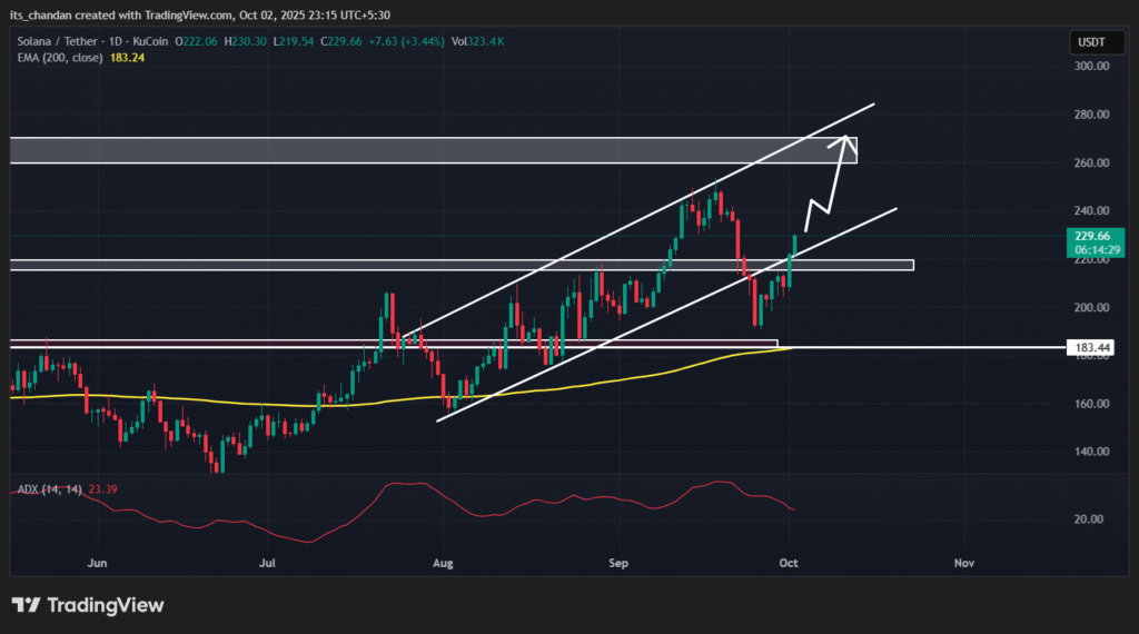 Solana Daily Chart