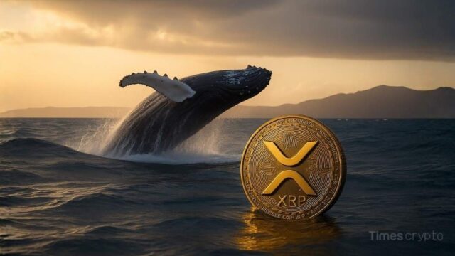XRP price