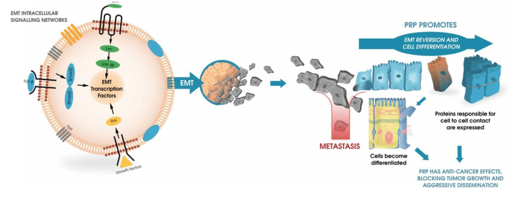 Propanc Biopharma Digital Asset Acquisition Strategy Backed by $100M Funding Propanc Biopharma Digital Asset Acquisition Strategy Backed by $100M Funding: Nasdaq-listed cancer treatment developer partners with crypto-focused family office to build digital asset treasury while advancing oncology research.