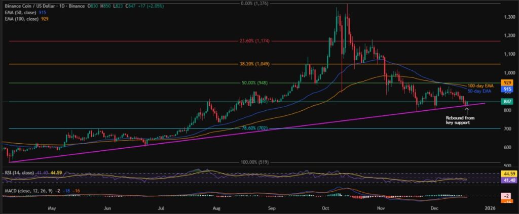 Binance Coin (BNB) Price Rebounds from Key Support; $930.00 Eyed! 2 BNBUSD 1D 19122025