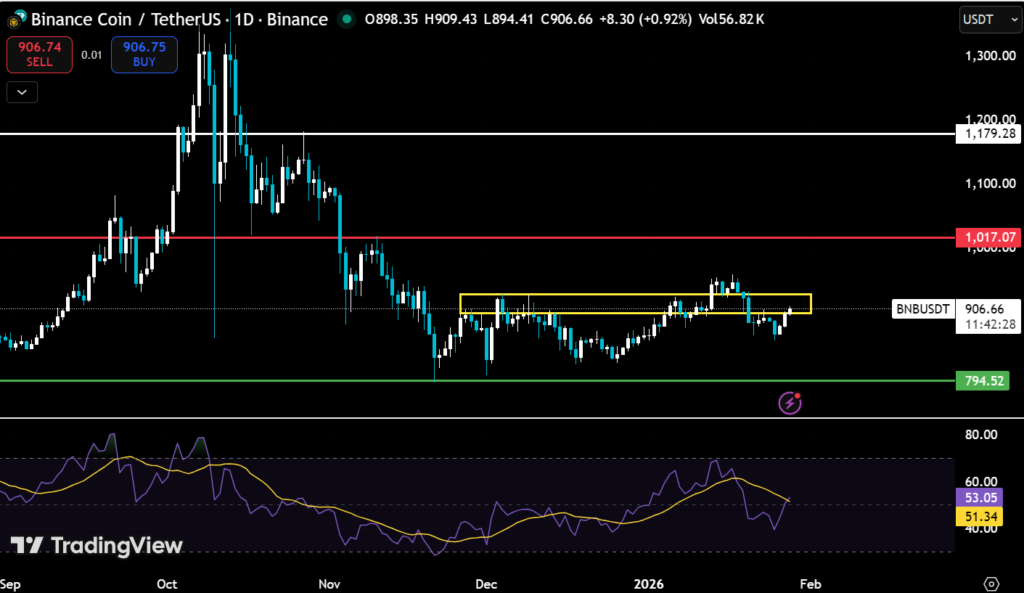 Top 5 Mid-Cap Altcoins to Watch In February 2026 4 image 334