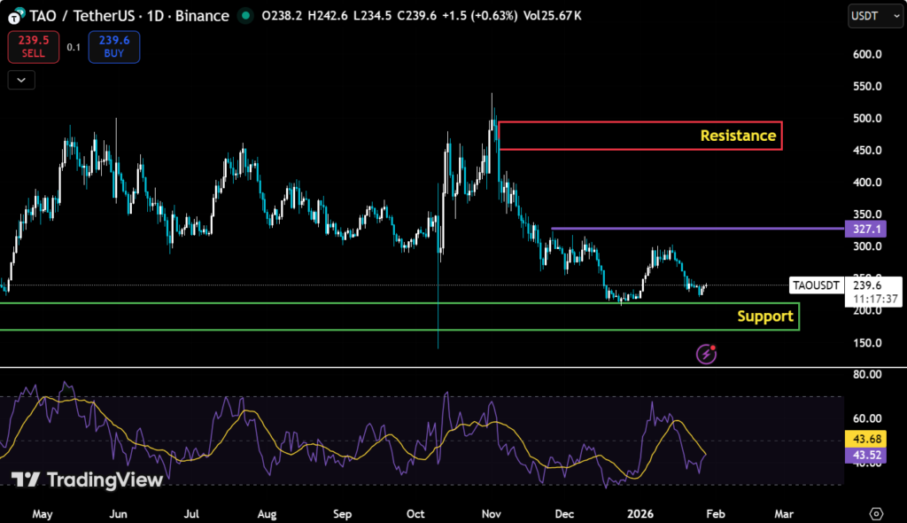 Top 5 Mid-Cap Altcoins to Watch In February 2026 5 image 336