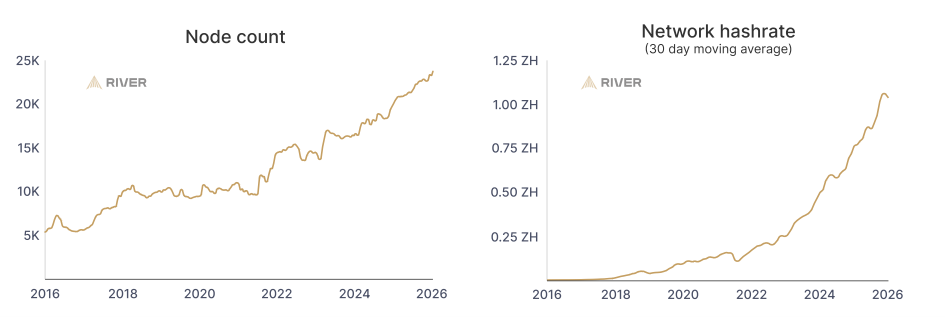 No Bear Market in Bitcoin Adoption, River Data Suggests 2 Bitcoin