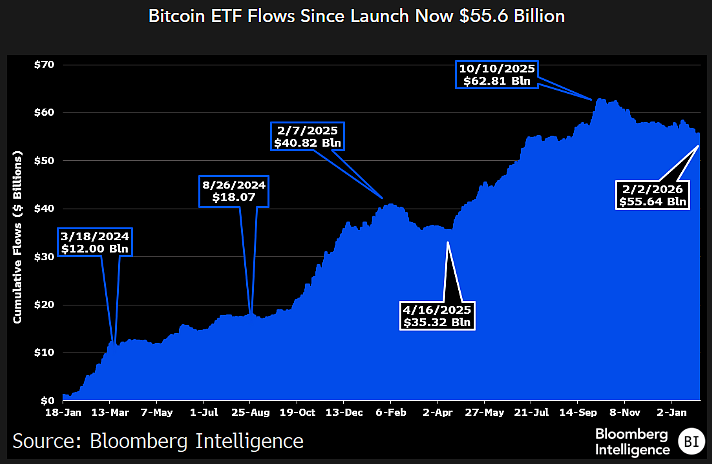Bitcoin ETFs Hit by Sharpest Sell-off, Still ‘Hanging In There’ With $55.6 bln in Assets 3 image 64
