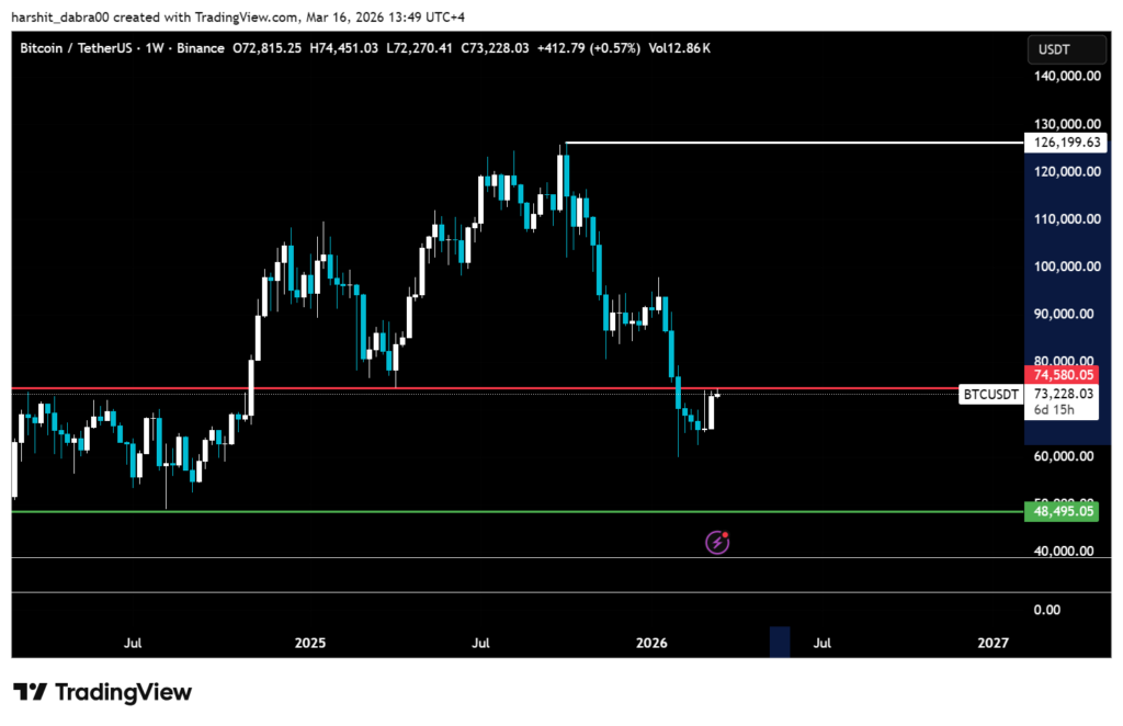 Bitcoin Bounce Reflects Onchain Strength Not Macro Shift 2 image 115