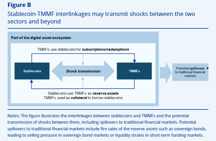 ECB Sounds Alarm on Tokenized Money Market Funds as Old Risks Re-emerge 4 image 194