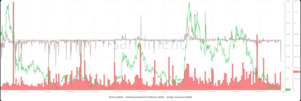 Cardano Price Faces Make-or-Break Moment as $0.243 Support Holds 3 image 229