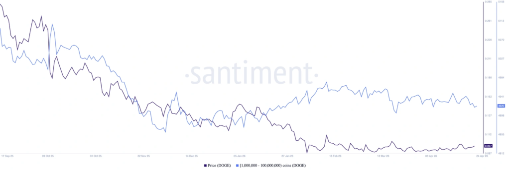 Dogecoin Price Extends Rally as Whale Wallets Rise Near Key Breakout 2 image 406